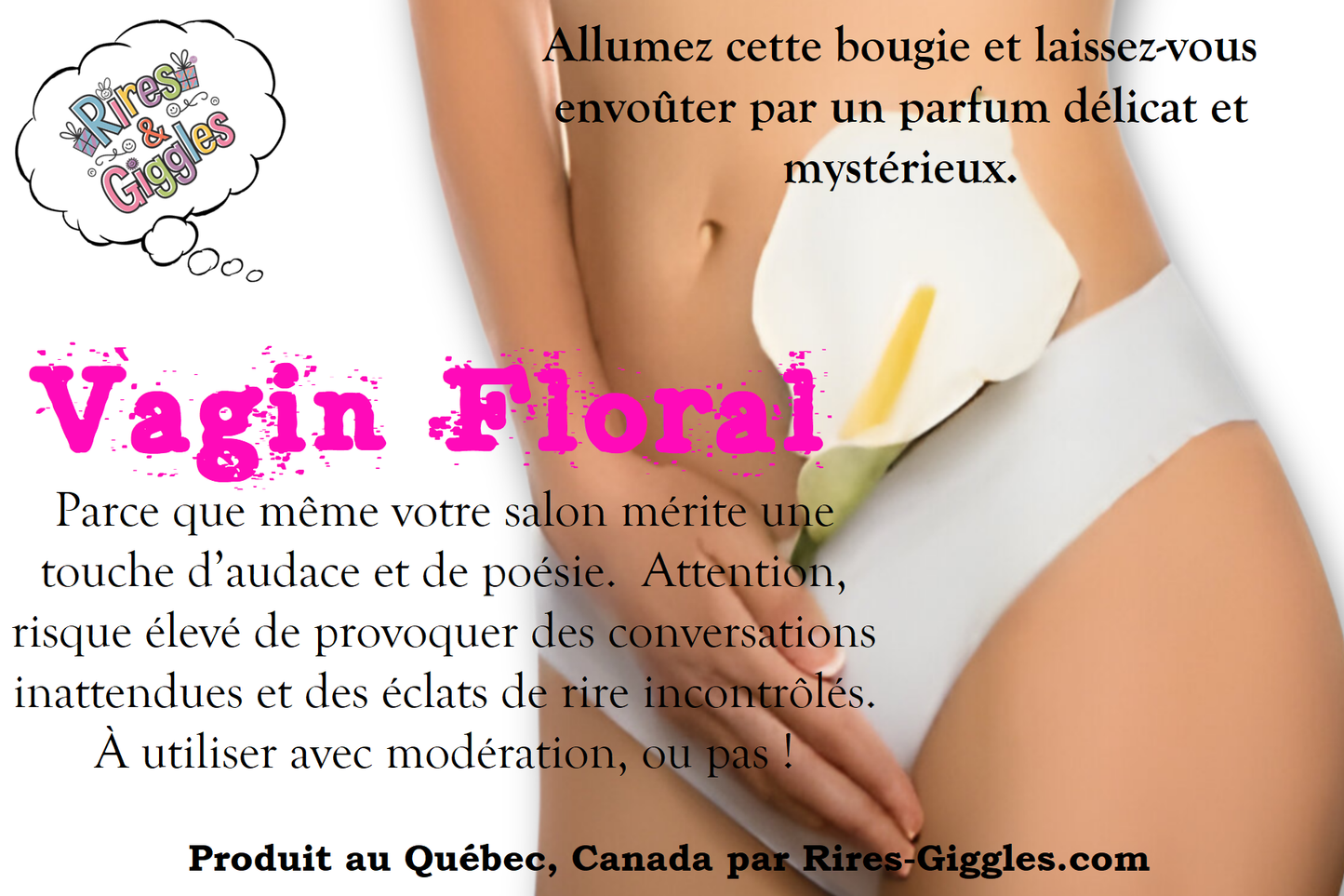 Humorous Labels - For Candle - French or English
