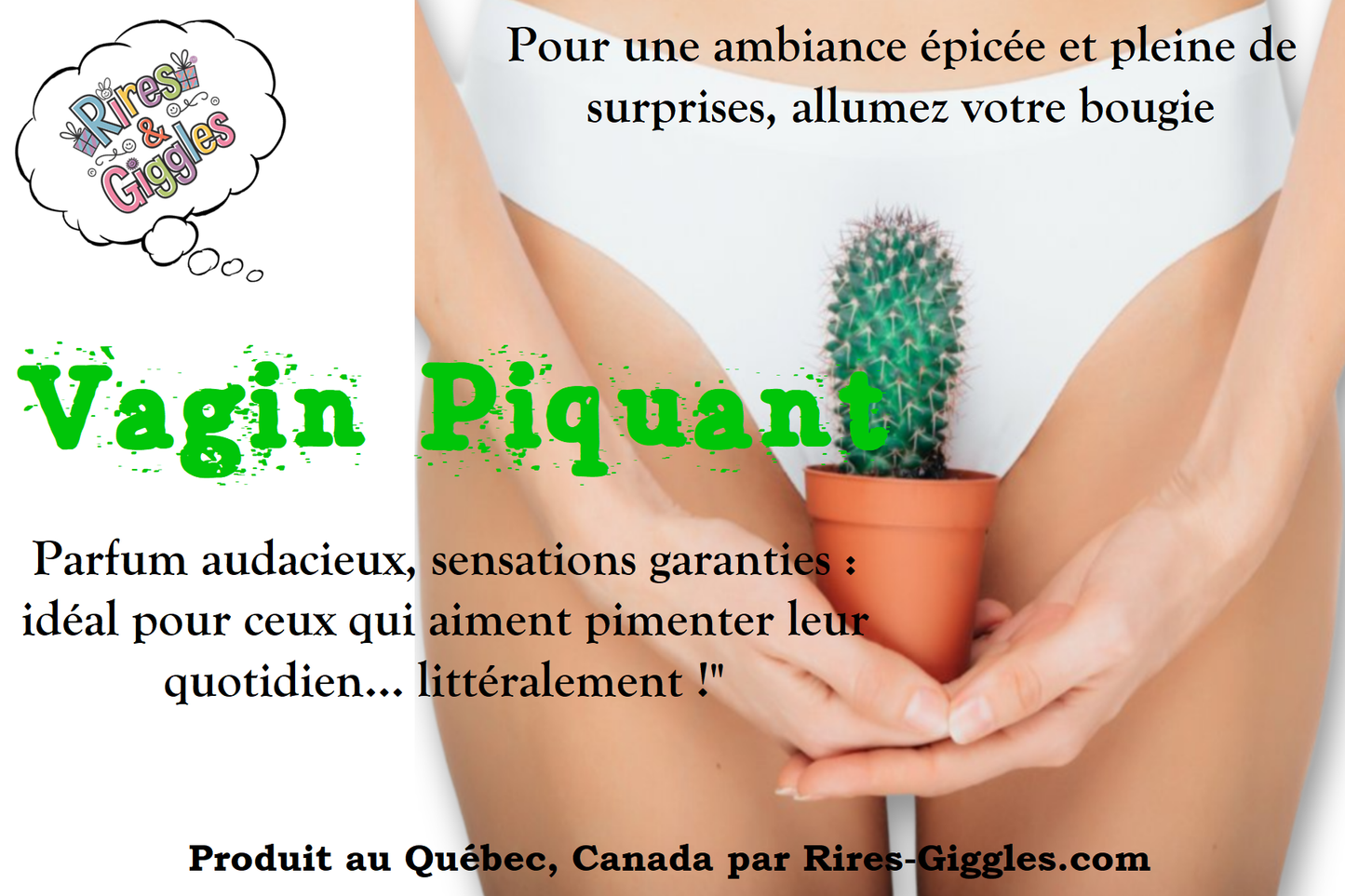 Humorous Labels - For Candle - French or English