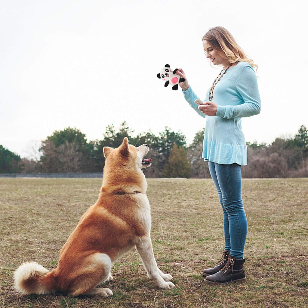 LEGEND SANDY Tough Dog Toys, Stuffed Chew Large Dog Toys to Keep Them Busy, Interactive Squeaky Tug of War Doggie Toy, Crinkle Blue Octopus