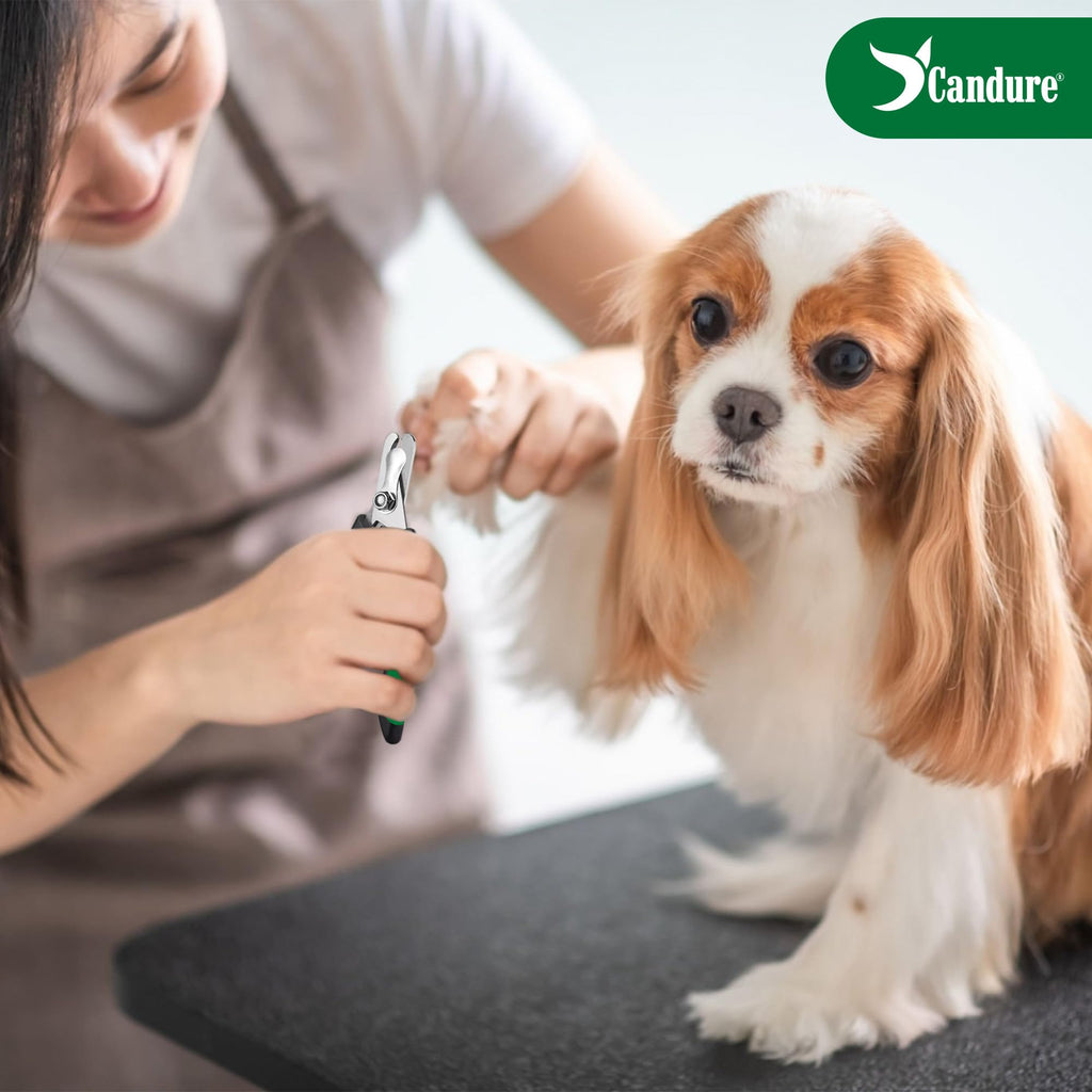 Candure Dog Nail Clippers and Trimmer with Safety Guard to Avoid Over-Cutting Toe Nails- Professional Grooming Razor Edge Blades Pet Nail Clipper with Free Nail File for Small Medium Large Breeds