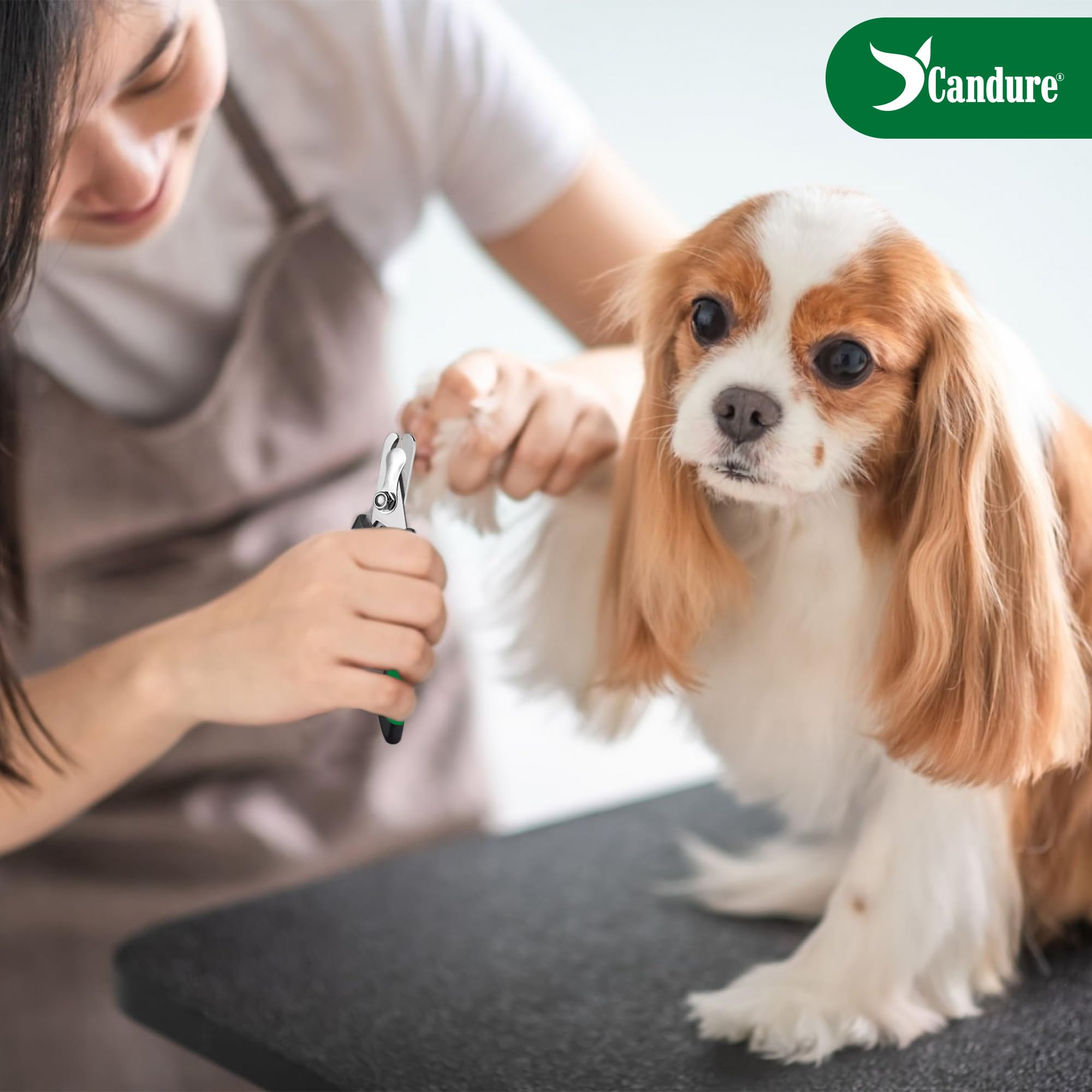 Candure Dog Nail Clippers and Trimmer with Safety Guard to Avoid Over-Cutting Toe Nails- Professional Grooming Razor Edge Blades Pet Nail Clipper with Free Nail File for Small Medium Large Breeds
