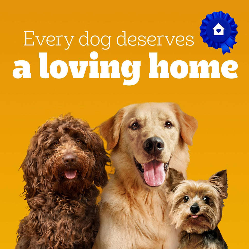 PEDIGREE DENTASTIX Oral Care Original Adult Dog Treats - For Medium Breeds - Reduces Plaque and Tartar Buildup - 40 Sticks 972g Pouch