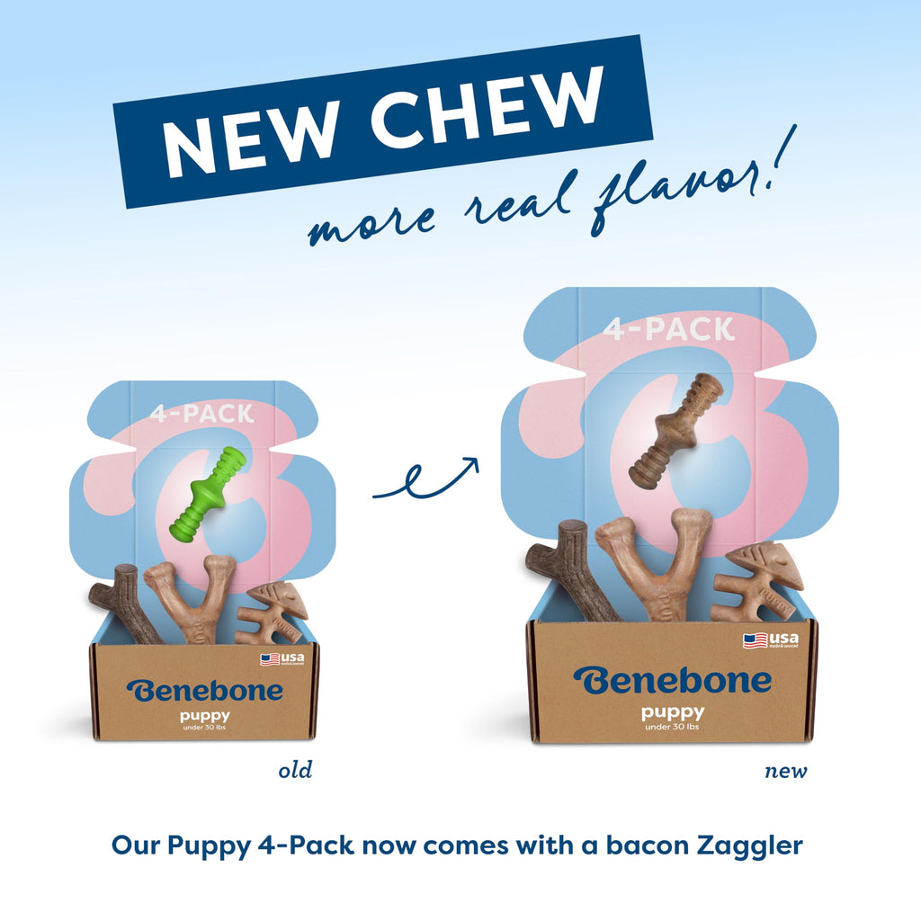 Benebone Large 4-Pack Dog Chew Toys for Aggressive Chewers, Made in USA, 90lbs and Under