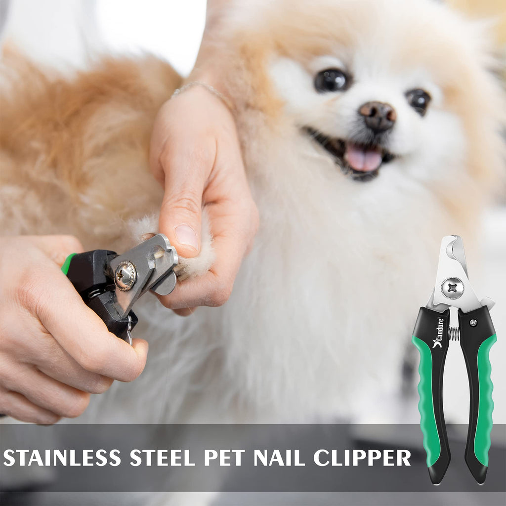 Candure Dog Nail Clippers and Trimmer with Safety Guard to Avoid Over-Cutting Toe Nails- Professional Grooming Razor Edge Blades Pet Nail Clipper with Free Nail File for Small Medium Large Breeds