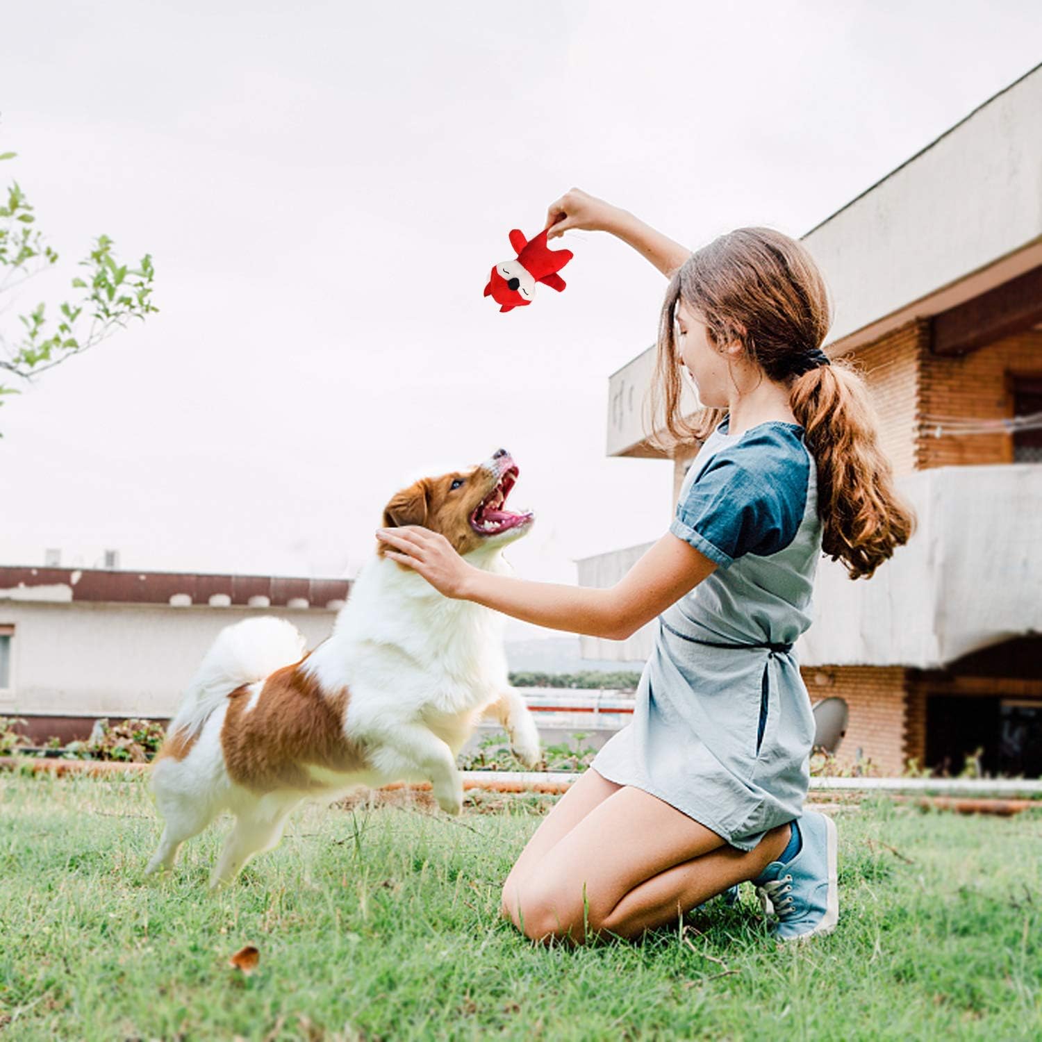 LEGEND SANDY Tough Dog Toys, Stuffed Chew Large Dog Toys to Keep Them Busy, Interactive Squeaky Tug of War Doggie Toy, Crinkle Blue Octopus