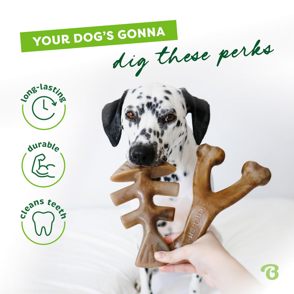 Benebone Large 4-Pack Dog Chew Toys for Aggressive Chewers, Made in USA, 90lbs and Under