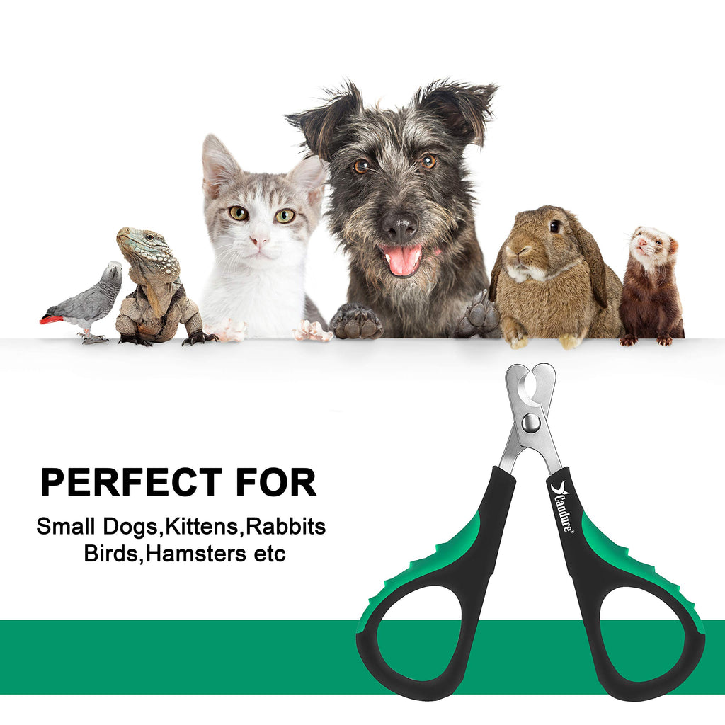Candure Dog Nail Clippers and Trimmer with Safety Guard to Avoid Over-Cutting Toe Nails- Professional Grooming Razor Edge Blades Pet Nail Clipper with Free Nail File for Small Medium Large Breeds