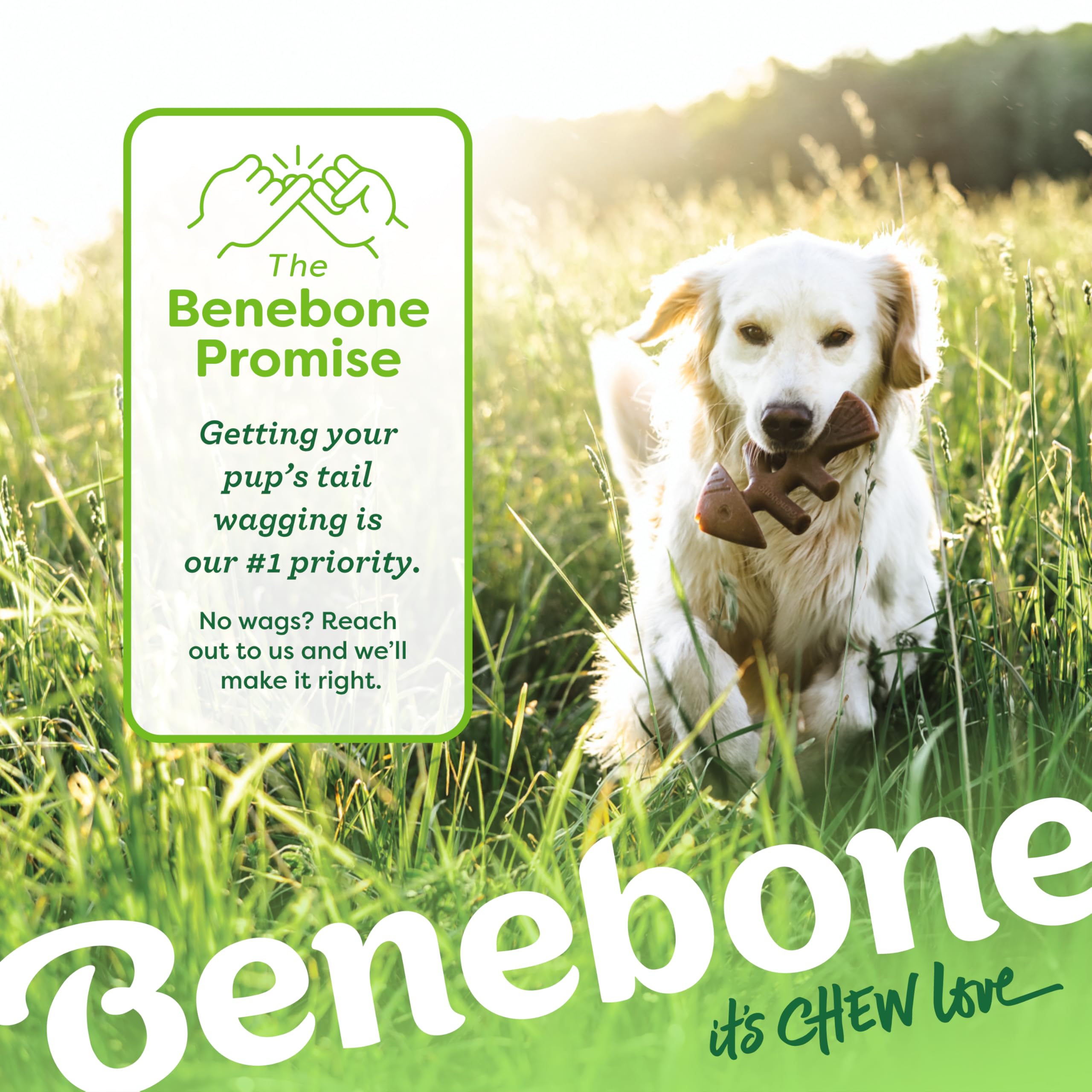 Benebone Large 4-Pack Dog Chew Toys for Aggressive Chewers, Made in USA, 90lbs and Under