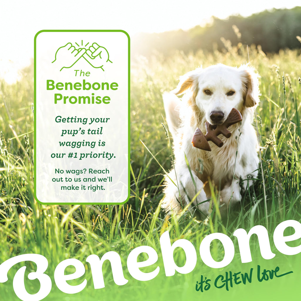 Benebone Large 4-Pack Dog Chew Toys for Aggressive Chewers, Made in USA, 90lbs and Under