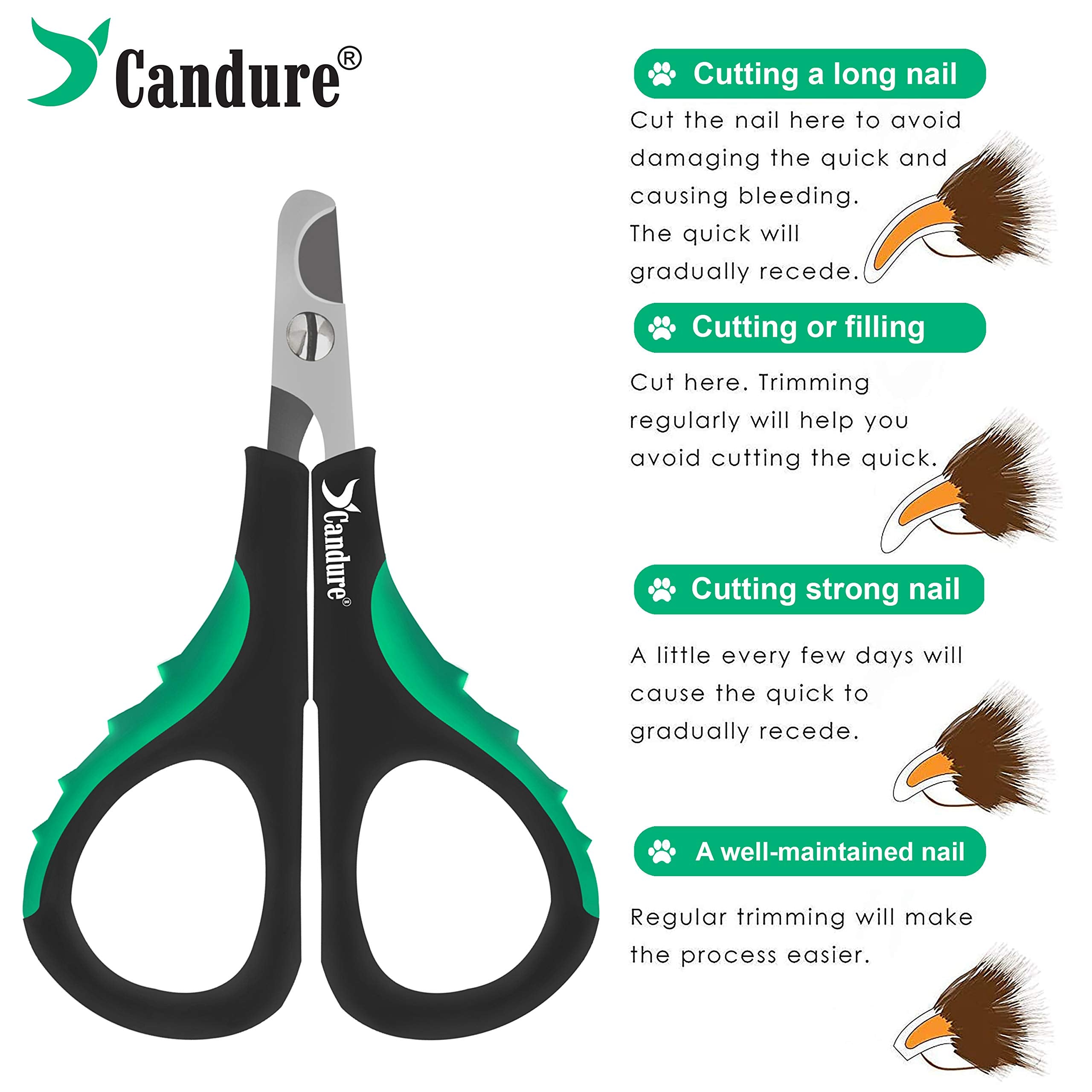 Candure Dog Nail Clippers and Trimmer with Safety Guard to Avoid Over-Cutting Toe Nails- Professional Grooming Razor Edge Blades Pet Nail Clipper with Free Nail File for Small Medium Large Breeds