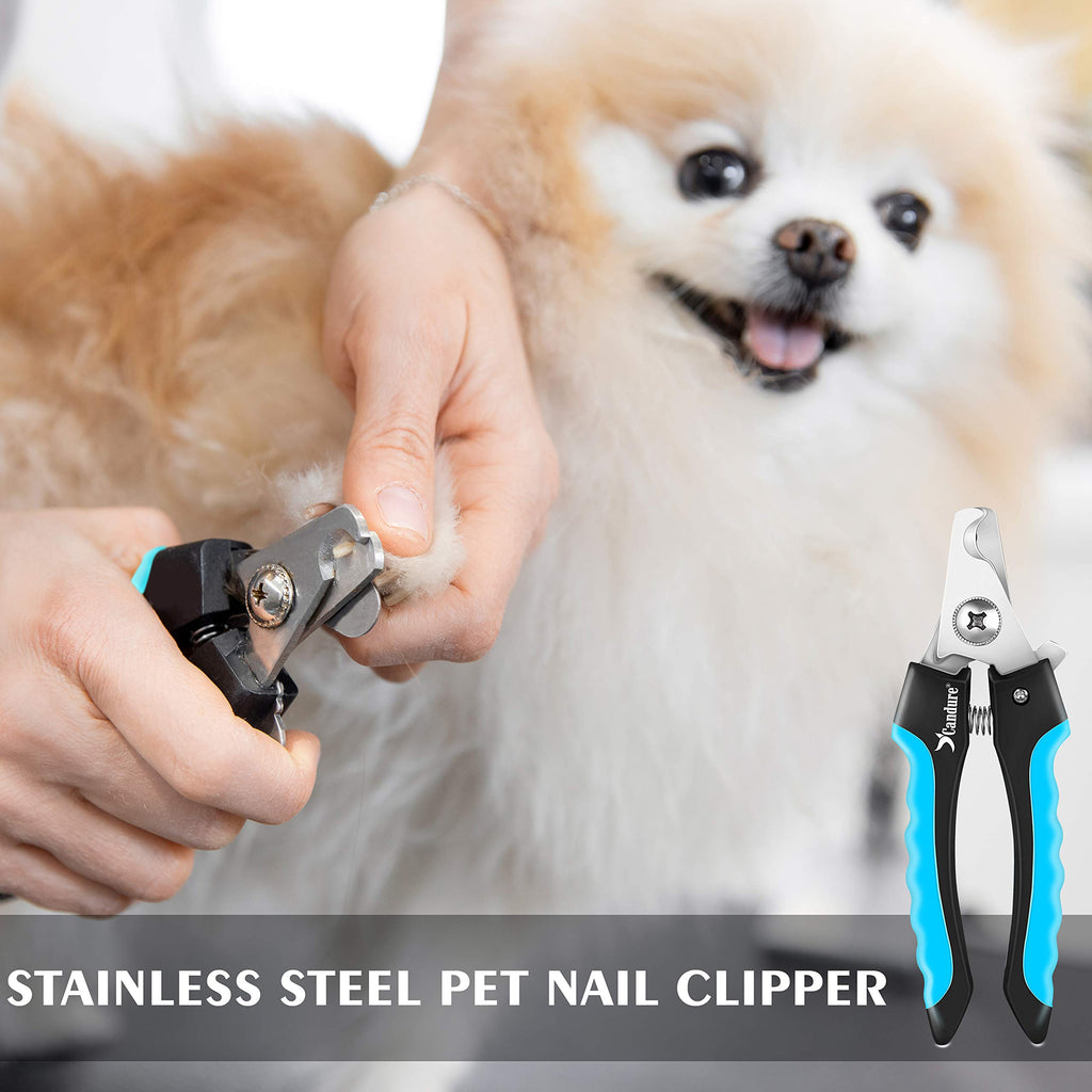Candure Dog Nail Clippers and Trimmer with Safety Guard to Avoid Over-Cutting Toe Nails- Professional Grooming Razor Edge Blades Pet Nail Clipper with Free Nail File for Small Medium Large Breeds