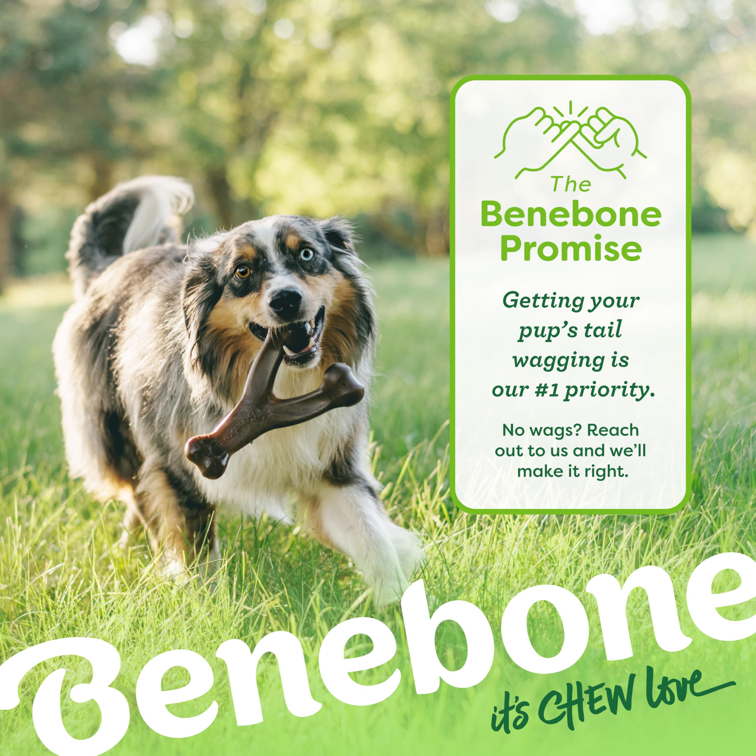 Benebone Large 4-Pack Dog Chew Toys for Aggressive Chewers, Made in USA, 90lbs and Under