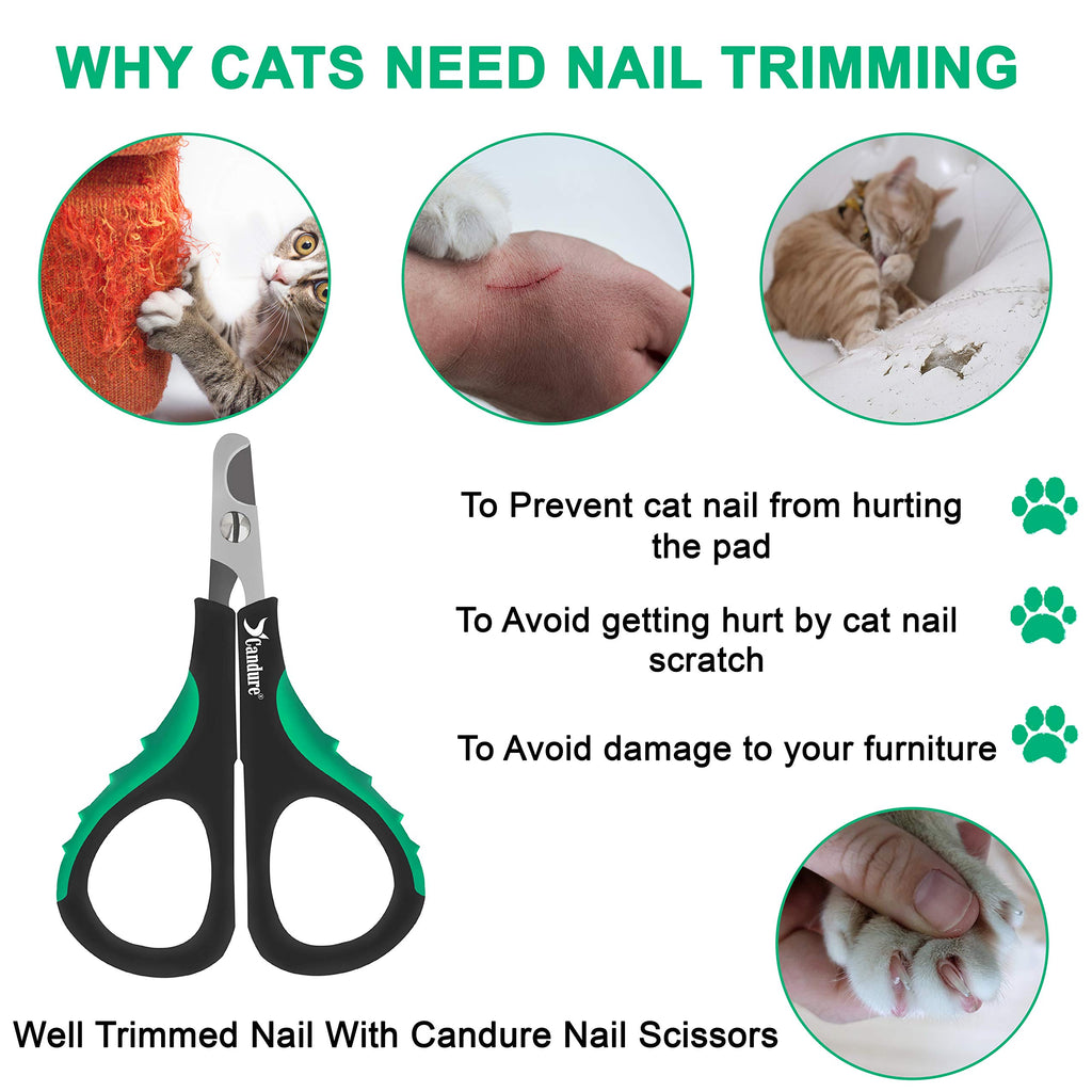 Candure Dog Nail Clippers and Trimmer with Safety Guard to Avoid Over-Cutting Toe Nails- Professional Grooming Razor Edge Blades Pet Nail Clipper with Free Nail File for Small Medium Large Breeds