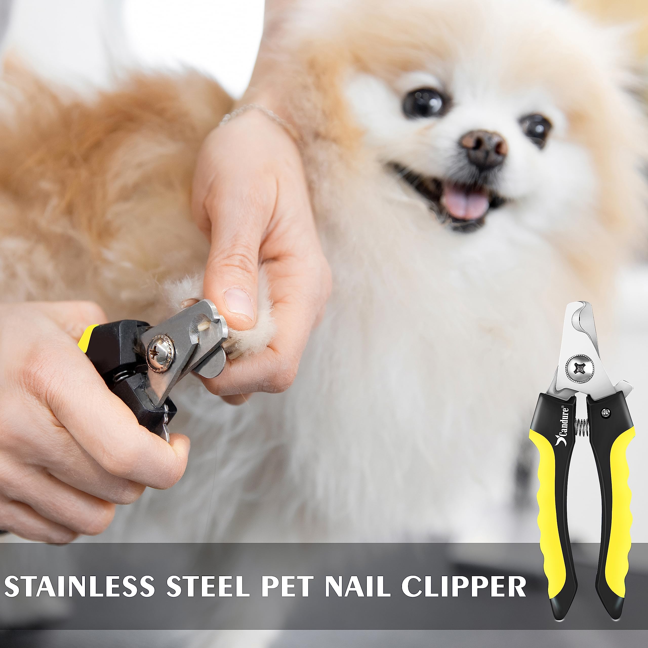 Candure Dog Nail Clippers and Trimmer with Safety Guard to Avoid Over-Cutting Toe Nails- Professional Grooming Razor Edge Blades Pet Nail Clipper with Free Nail File for Small Medium Large Breeds