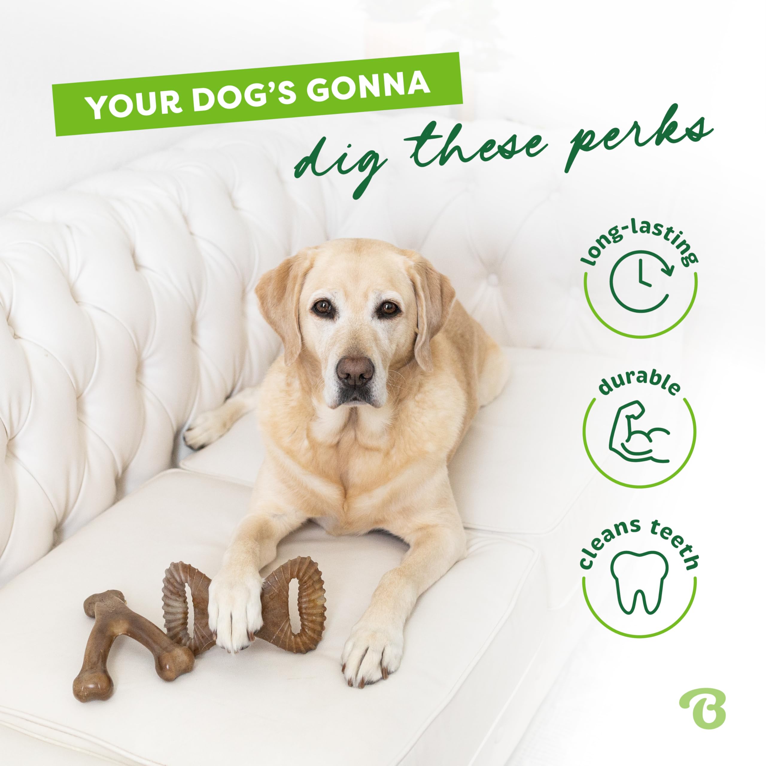 Benebone Large 4-Pack Dog Chew Toys for Aggressive Chewers, Made in USA, 90lbs and Under