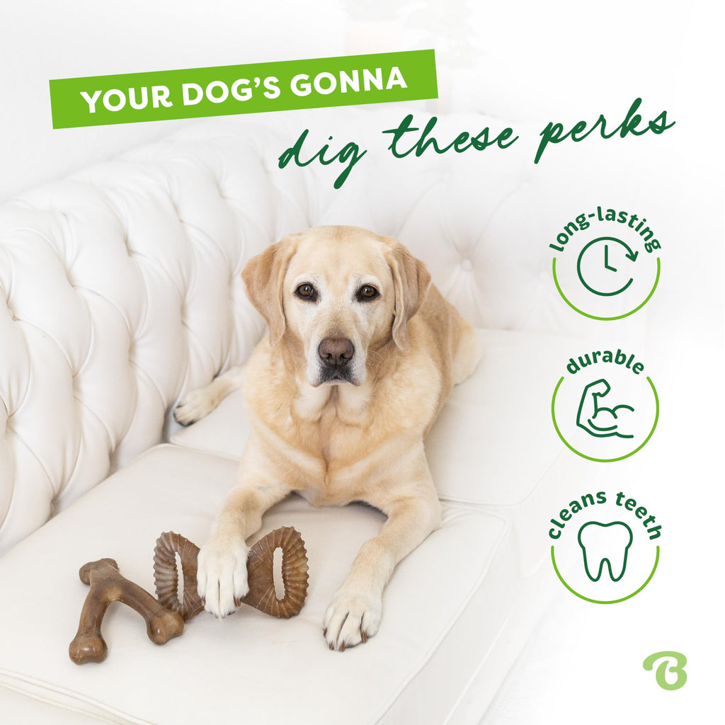 Benebone Large 4-Pack Dog Chew Toys for Aggressive Chewers, Made in USA, 90lbs and Under