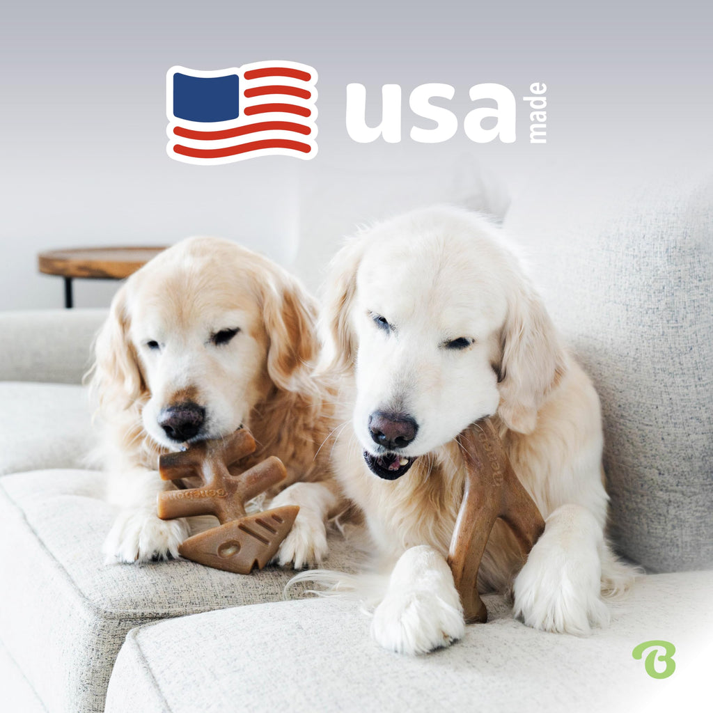 Benebone Large 4-Pack Dog Chew Toys for Aggressive Chewers, Made in USA, 90lbs and Under