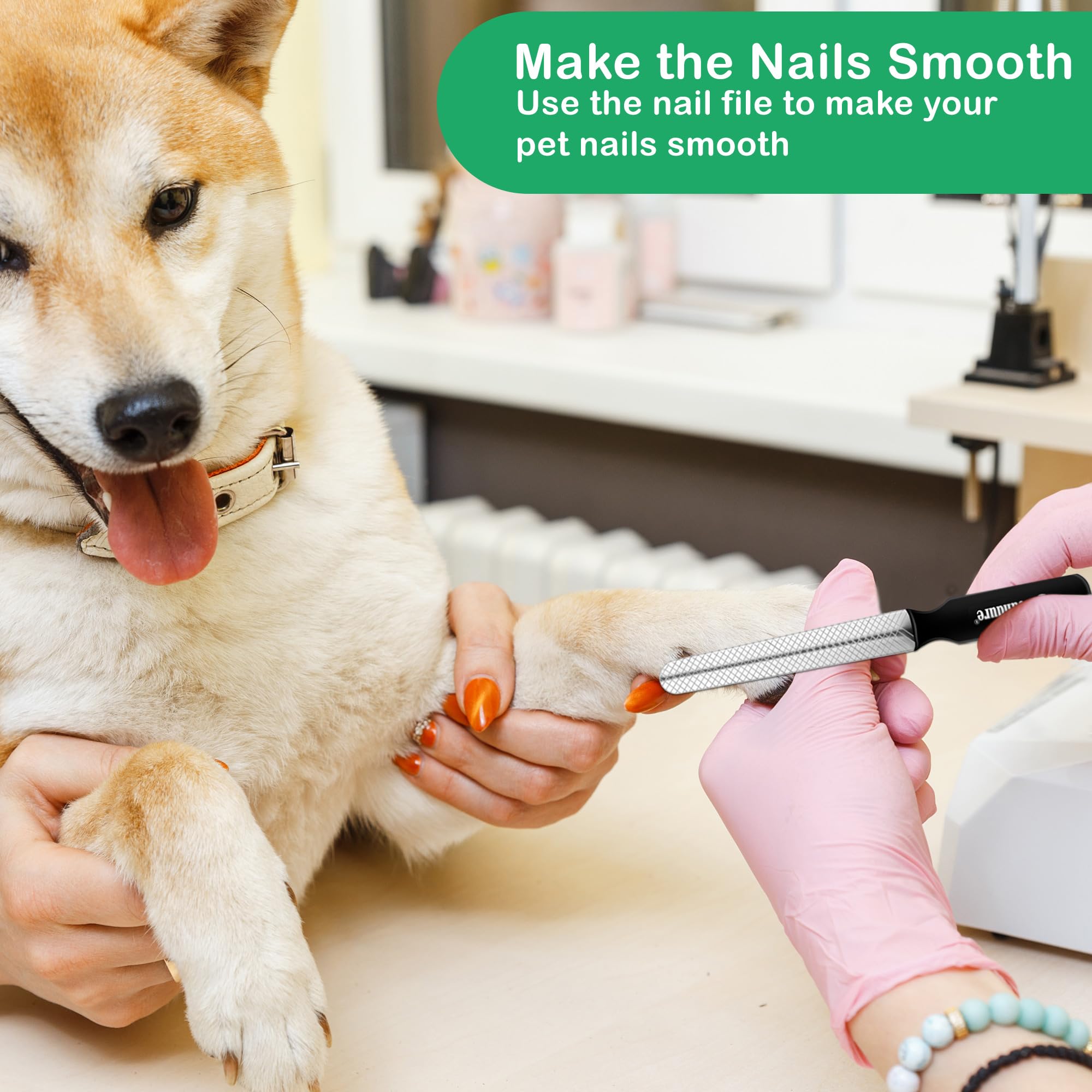 Candure Dog Nail Clippers and Trimmer with Safety Guard to Avoid Over-Cutting Toe Nails- Professional Grooming Razor Edge Blades Pet Nail Clipper with Free Nail File for Small Medium Large Breeds