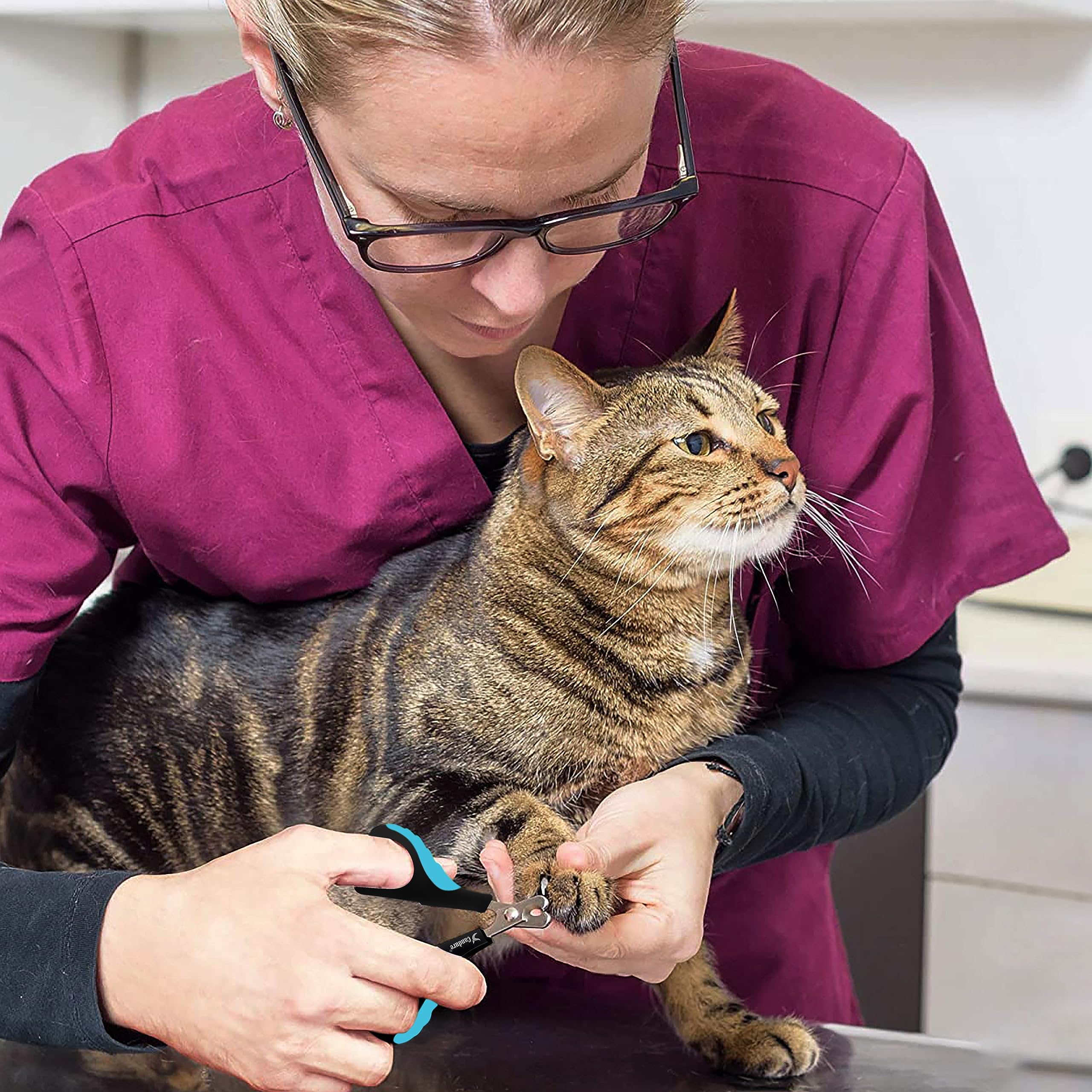 Candure Dog Nail Clippers and Trimmer with Safety Guard to Avoid Over-Cutting Toe Nails- Professional Grooming Razor Edge Blades Pet Nail Clipper with Free Nail File for Small Medium Large Breeds