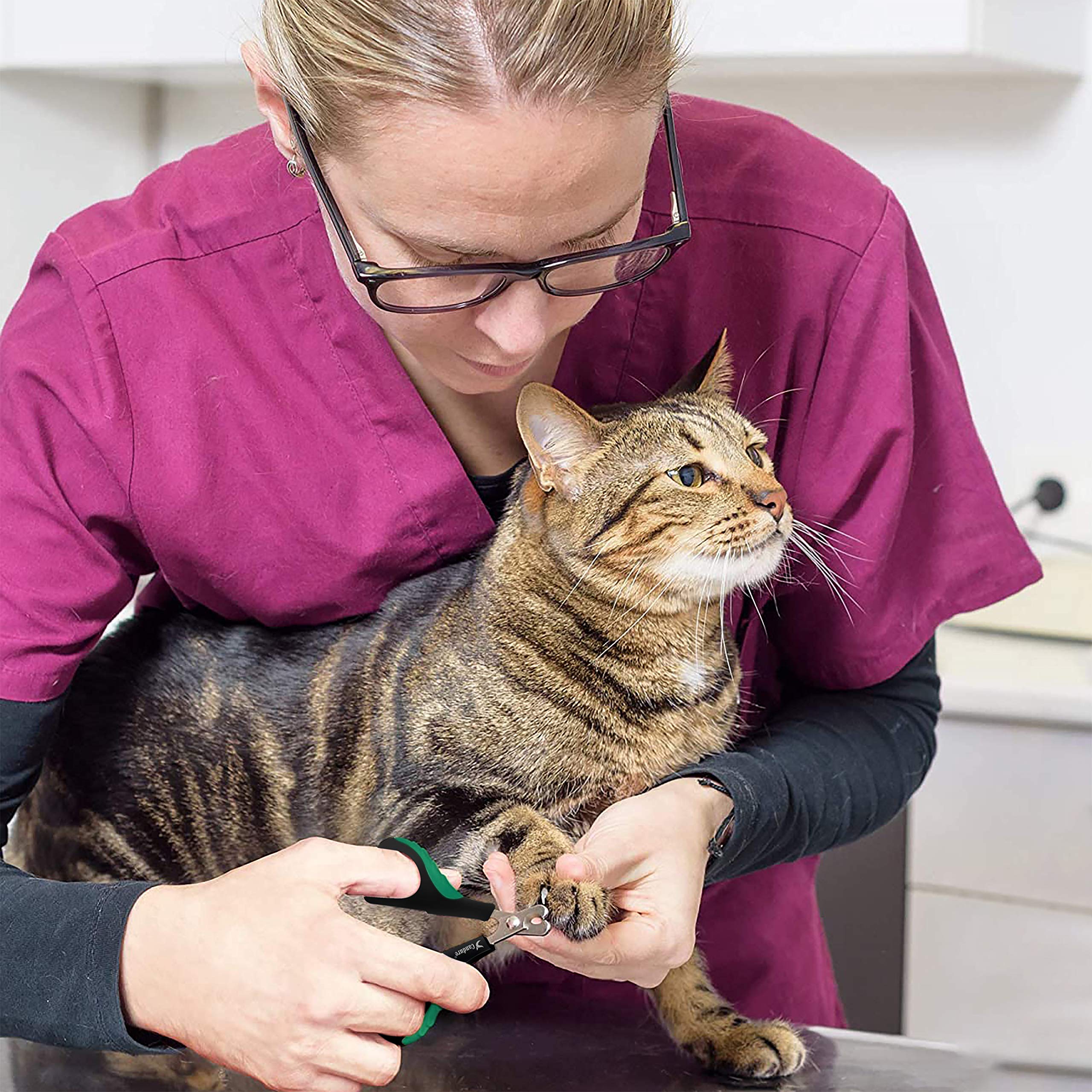 Candure Dog Nail Clippers and Trimmer with Safety Guard to Avoid Over-Cutting Toe Nails- Professional Grooming Razor Edge Blades Pet Nail Clipper with Free Nail File for Small Medium Large Breeds