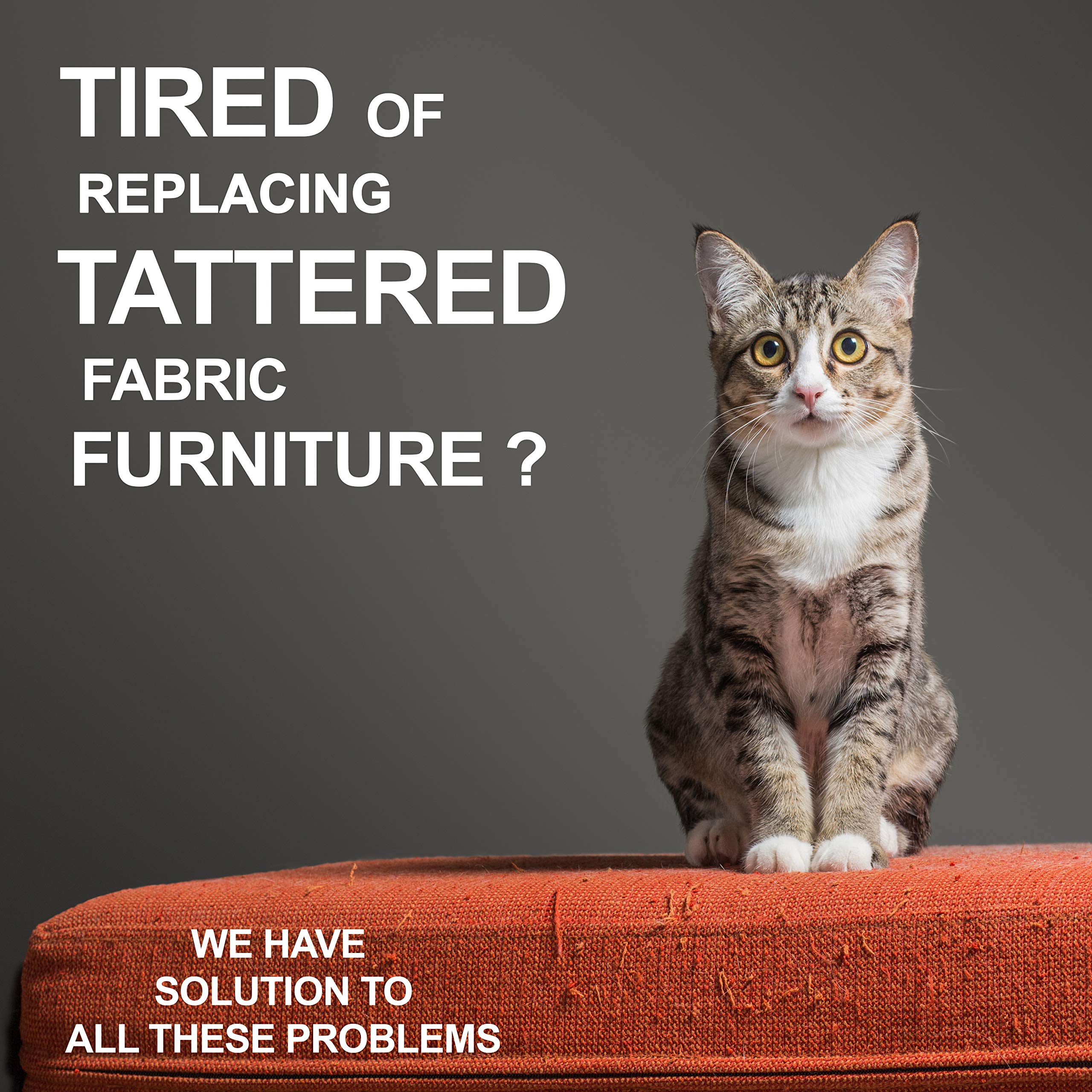 Candure Dog Nail Clippers and Trimmer with Safety Guard to Avoid Over-Cutting Toe Nails- Professional Grooming Razor Edge Blades Pet Nail Clipper with Free Nail File for Small Medium Large Breeds