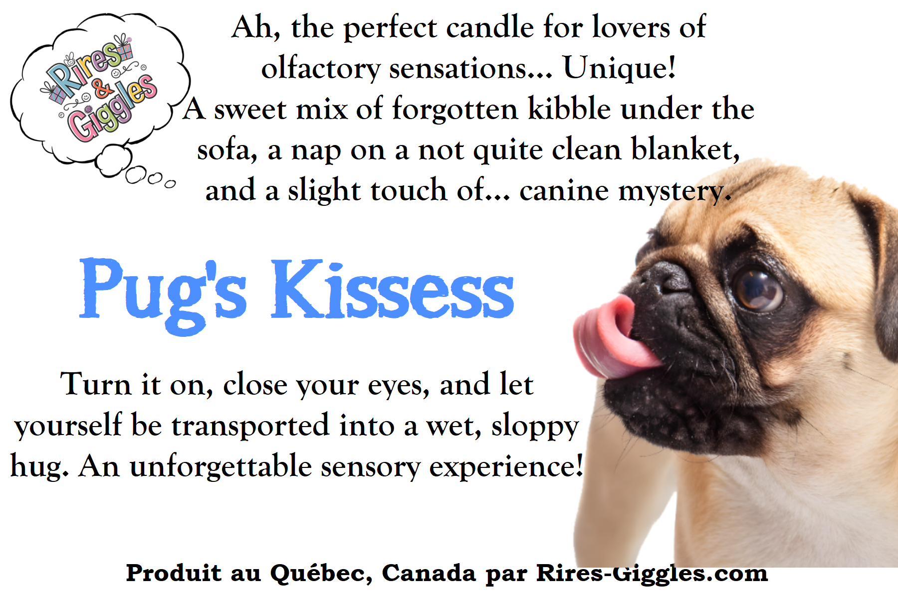 Humorous Labels - For Candle - French or English