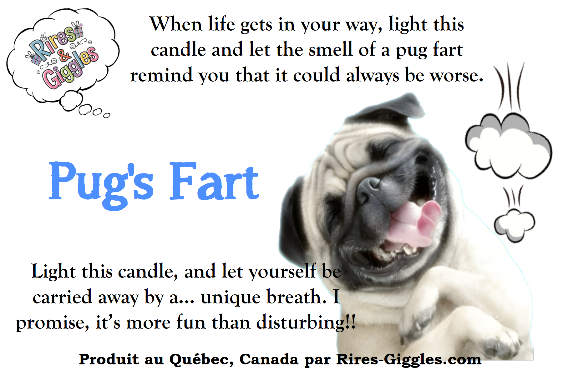 Humorous Labels - For Candle - French or English